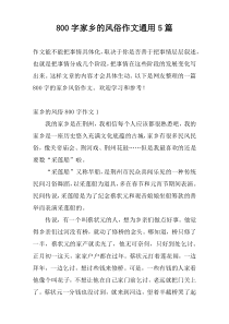 800字家乡的风俗作文通用5篇