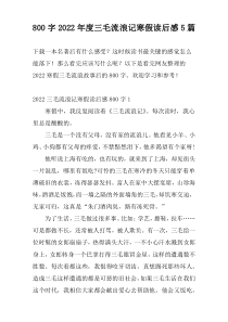 800字2022年度三毛流浪记寒假读后感5篇