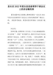 县长在全县县级领导干部会议上的讲话稿2022年度范例