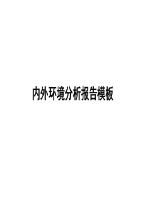 内外环境分析报告模板