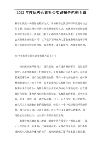 2022年度优秀仓管社会实践报告范例5篇