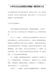 大学生社会实践报告精编5篇范例大全