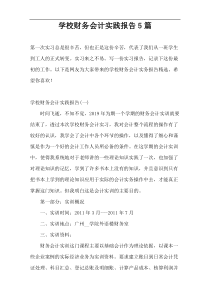 学校财务会计实践报告5篇