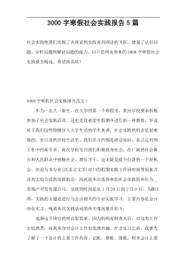 3000字寒假社会实践报告5篇