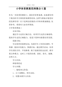 小学体育教案范例集合5篇