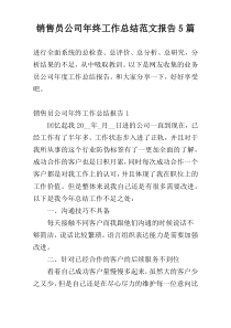 销售员公司年终工作总结范文报告5篇