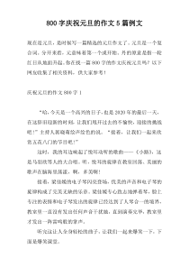 [800字]庆祝元旦的作文5篇例文