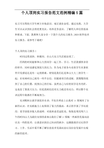 个人顶岗实习报告范文范例精编5篇