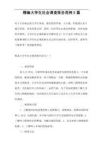 精编大学生社会调查报告范例5篇