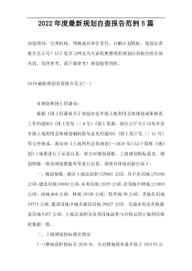 2022年度新编规划自查报告范例5篇