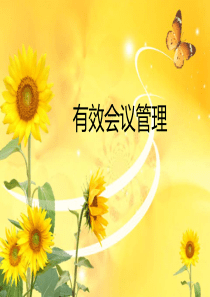 有效会议管理技巧