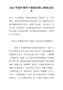 2022年度中青年干部培训班心得体会范文