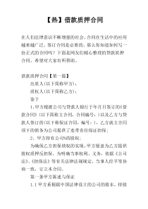 【热】借款质押合同