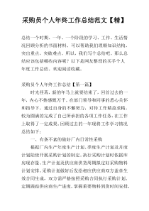 采购员个人年终工作总结范文【精】