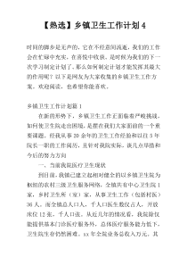 【热选】乡镇卫生工作计划4