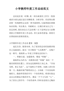 小学教师年度工作总结范文