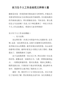 实习生个人工作总结范文样例5篇