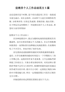 促销员个人工作总结范文5篇