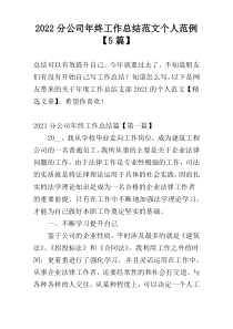 2022分公司年终工作总结范文个人范例【5篇】