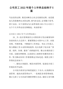 公司员工2022年度个人年终总结例子5篇