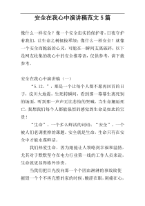 安全在我心中演讲稿范文5篇