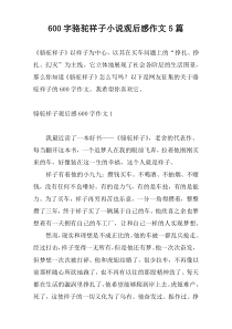 600字骆驼祥子小说观后感作文5篇