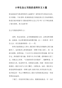 小学生怎么写我的老师作文5篇