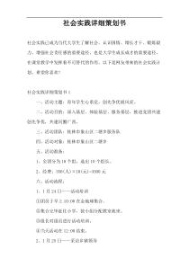 社会实践详细策划书