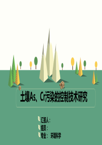 土壤砷_铬污染的控制技术（PPT41页)
