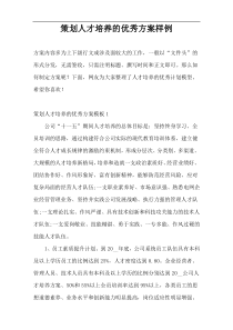 策划人才培养的优秀方案样例