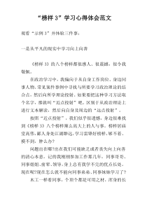 “榜样3”学习心得体会范文