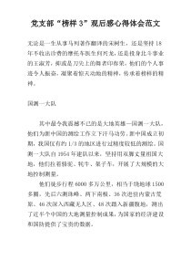 党支部“榜样3”观后感心得体会范文