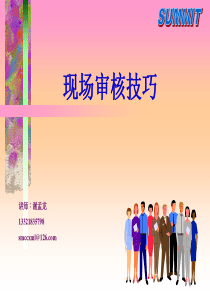 现场审核技巧
