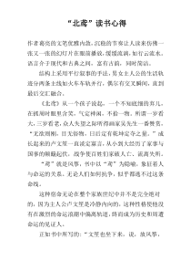 “北鸢”读书心得