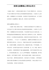观看边城警魂心得体会范文