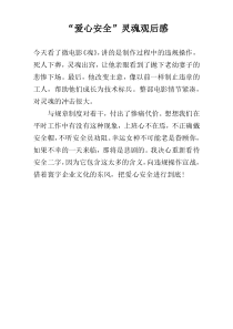 “爱心安全”灵魂观后感
