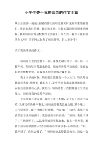小学生关于我的母亲的作文5篇