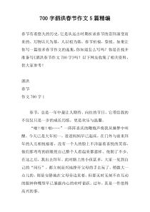 700字泗洪春节作文5篇精编