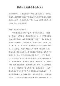 我的一次选择小学生作文5