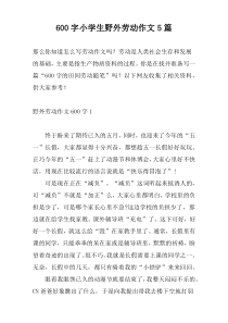 600字小学生野外劳动作文5篇