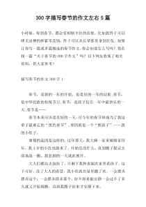 300字描写春节的作文左右5篇