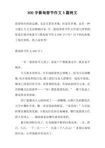 800字蔡甸春节作文5篇例文
