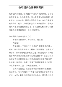 公司团代会开幕词范例