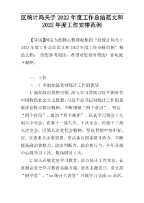 区统计局关于2022年度工作总结范文和2022年度工作安排范例