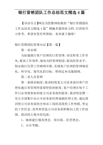 银行营销团队工作总结范文精选4篇