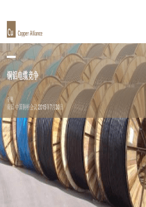 铜铝电缆竞争-中国铜杆会议XXXX0730