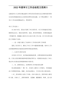 2022年度审计工作总结范文范例5