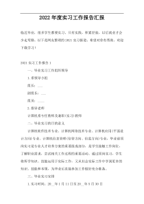 2022年度实习工作报告汇报