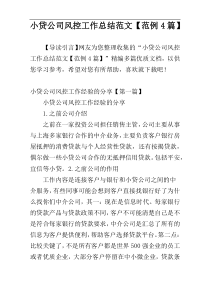 小贷公司风控工作总结范文【范例4篇】