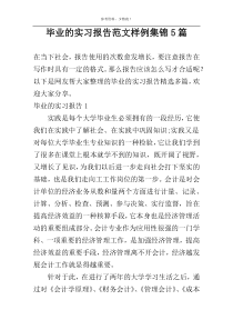 毕业的实习报告范文样例集锦5篇